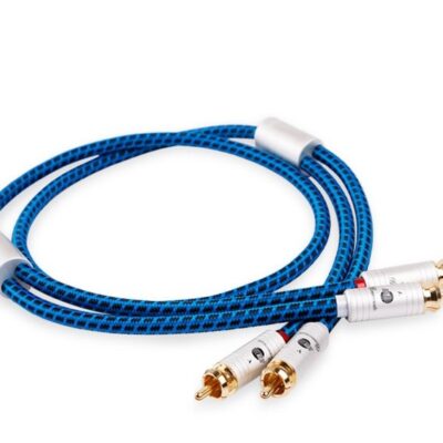 Boaacoustic Blueberry Signal Chinch